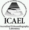 ICAEL Logo